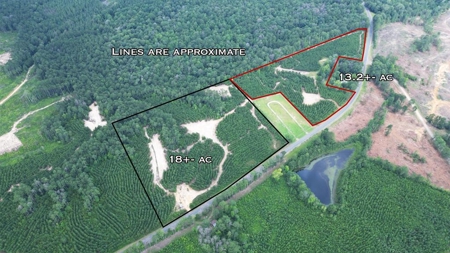 Small Hunting Property Near Homochitto National Forest - image 3