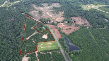 Small Hunting Property Near Homochitto National Forest - image 2