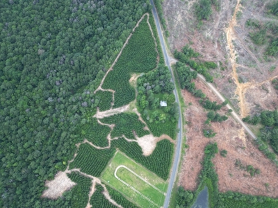 Small Hunting Property Near Homochitto National Forest - image 6