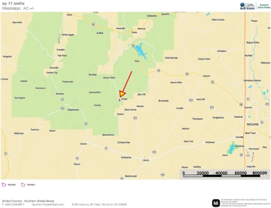 Small Hunting Property Near Homochitto National Forest - image 13