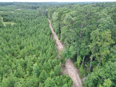 Small Hunting Property Near Homochitto National Forest - image 12