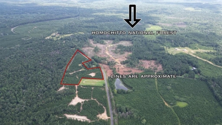 Small Hunting Property Near Homochitto National Forest - image 1