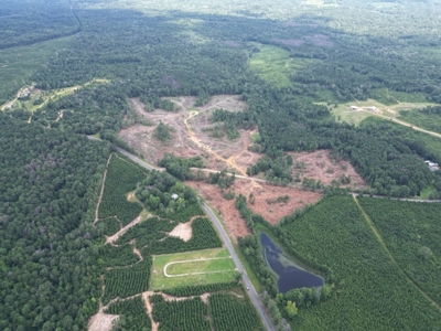 Small Hunting Property Near Homochitto National Forest - image 5