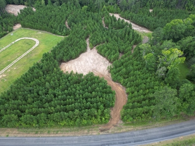 Small Hunting Property Near Homochitto National Forest - image 10