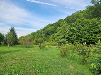 Central KY Off Grid Home-Sustainable Living-Orchard-Garden - image 19