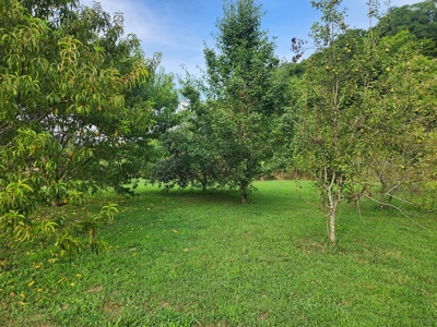 Central KY Off Grid Home-Sustainable Living-Orchard-Garden - image 11