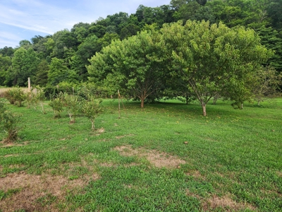 Central KY Off Grid Home-Sustainable Living-Orchard-Garden - image 10