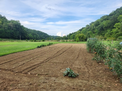 Central KY Off Grid Home-Sustainable Living-Orchard-Garden - image 6