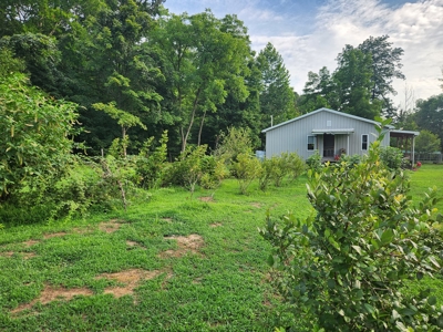 Central KY Off Grid Home-Sustainable Living-Orchard-Garden - image 15