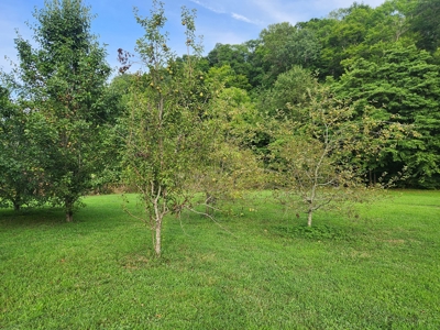 Central KY Off Grid Home-Sustainable Living-Orchard-Garden - image 12