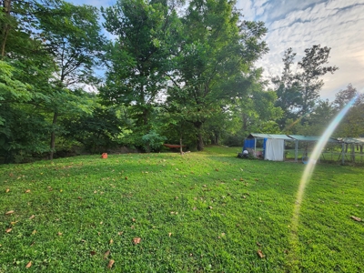 Central KY Off Grid Home-Sustainable Living-Orchard-Garden - image 30