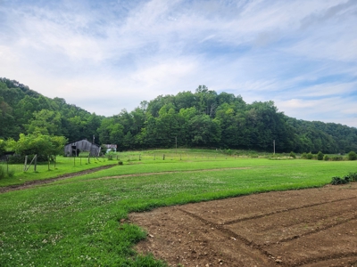 Central KY Off Grid Home-Sustainable Living-Orchard-Garden - image 7