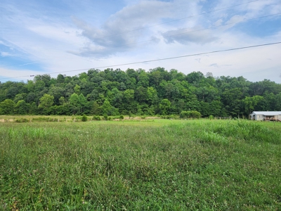 Central KY Off Grid Home-Sustainable Living-Orchard-Garden - image 4