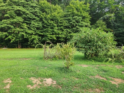 Central KY Off Grid Home-Sustainable Living-Orchard-Garden - image 14