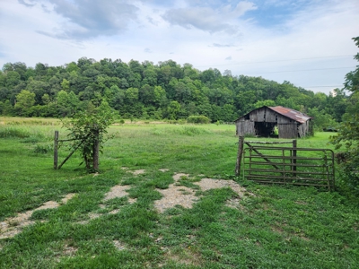 Central KY Off Grid Home-Sustainable Living-Orchard-Garden - image 5