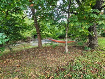 Central KY Off Grid Home-Sustainable Living-Orchard-Garden - image 31