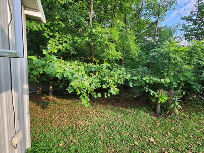 Central KY Off Grid Home-Sustainable Living-Orchard-Garden - image 29