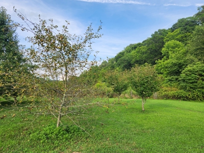Central KY Off Grid Home-Sustainable Living-Orchard-Garden - image 13