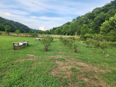 Central KY Off Grid Home-Sustainable Living-Orchard-Garden - image 9