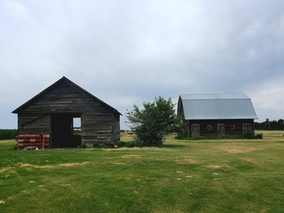 Country Home For Sale in Haviland, Kansas - image 4