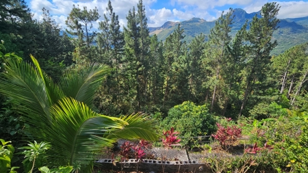 3 Bedroom House w pool and 1168m2 of land in Altos Del Maria - image 16