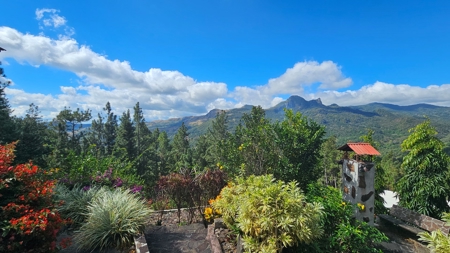 3 Bedroom House w pool and 1168m2 of land in Altos Del Maria - image 14