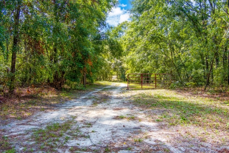 Country Home And Land For Sale In Live Oak, Florida - image 43