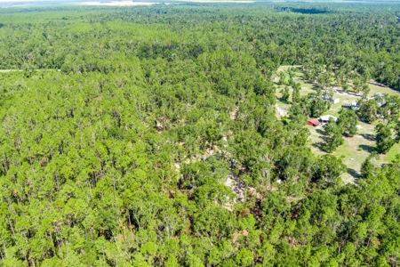 Country Home And Land For Sale In Live Oak, Florida - image 48