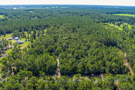 Country Home And Land For Sale In Live Oak, Florida - image 46