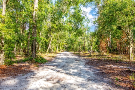 Country Home And Land For Sale In Live Oak, Florida - image 8