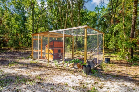 Country Home And Land For Sale In Live Oak, Florida - image 14