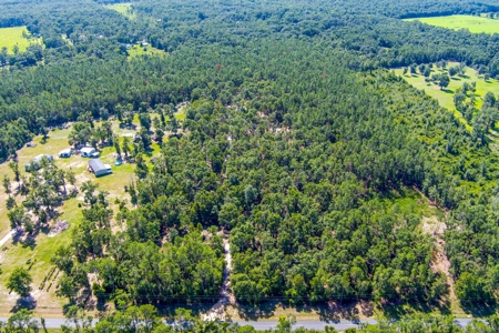 Country Home And Land For Sale In Live Oak, Florida - image 44
