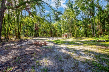 Country Home And Land For Sale In Live Oak, Florida - image 13