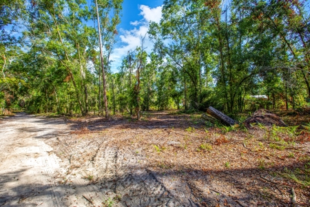 Country Home And Land For Sale In Live Oak, Florida - image 10