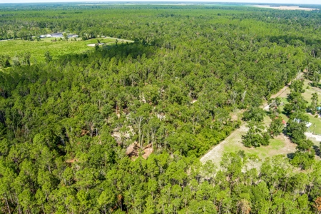 Country Home And Land For Sale In Live Oak, Florida - image 49