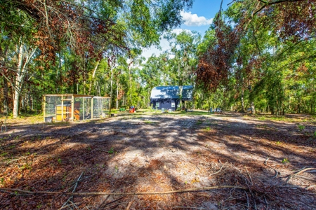 Country Home And Land For Sale In Live Oak, Florida - image 16