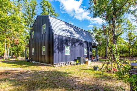 Country Home And Land For Sale In Live Oak, Florida - image 4