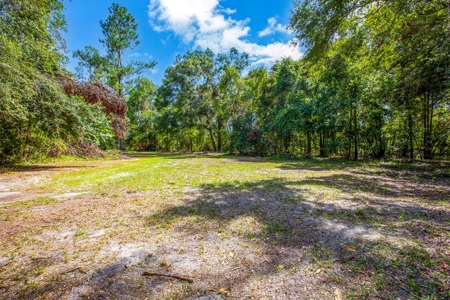 Country Home And Land For Sale In Live Oak, Florida - image 42