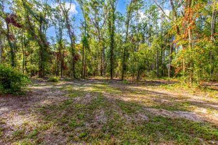 Country Home And Land For Sale In Live Oak, Florida - image 3