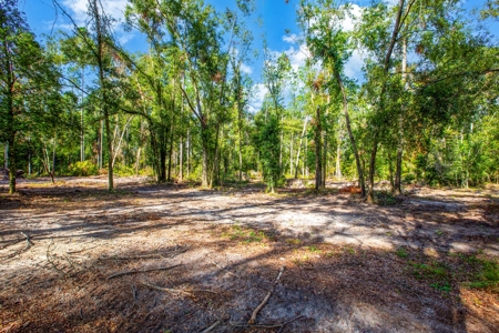 Country Home And Land For Sale In Live Oak, Florida - image 11