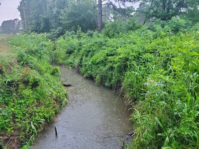 HOMESITE on 4.77± ACRES for Sale in CHOCTAW COUNTY, OK - image 4