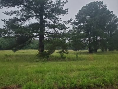 HOMESITE on 4.77± ACRES for Sale in CHOCTAW COUNTY, OK - image 3