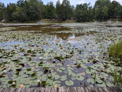 Historical Inn for Sale Atlanta MI Montmorency County - image 3