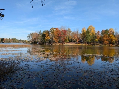 Historical Inn for Sale Atlanta MI Montmorency County - image 50