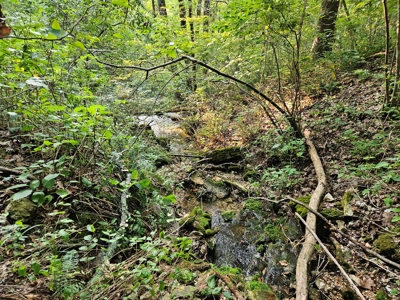 Missouri Ozarks Farm with Breathtaking Views, Well and Power - image 22