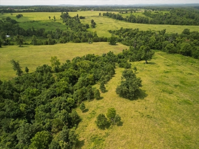 Missouri Ozarks Farm with Breathtaking Views, Well and Power - image 5