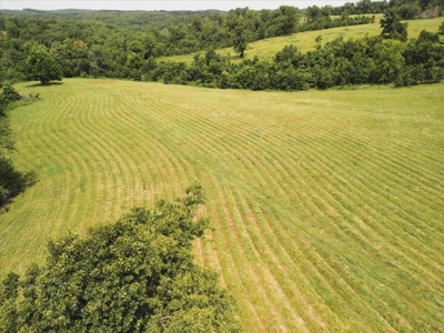 Missouri Ozarks Farm with Breathtaking Views, Well and Power - image 13