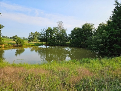 Missouri Ozarks Farm with Breathtaking Views, Well and Power - image 17