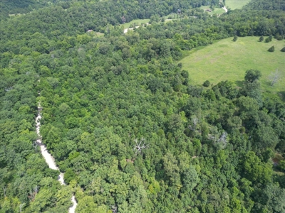 Missouri Ozarks Farm with Breathtaking Views, Well and Power - image 8