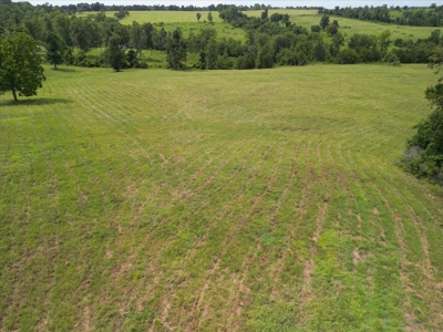 Missouri Ozarks Farm with Breathtaking Views, Well and Power - image 14